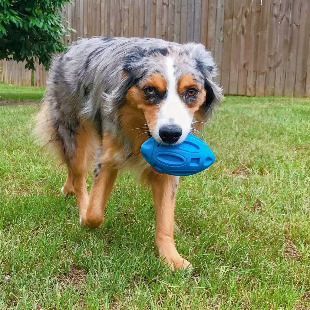 Squeaky Dog Chew Toys for Aggressive Chewers – Durable Rubber Puppy Teething Toy