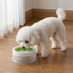 No-Spill Dog Water Bowl – Mess-Free Hydration for Active Dogs