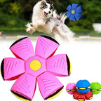 TurboFly – Ultimate Pet Flying Disc for Dogs & Cats