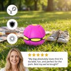 Interactive Flying Fetch Dog Ball – Fun, Fast & Engaging Toy for Energetic Dogs