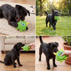 Durable Eco-Friendly Monster Teeth-Cleaning Squeaky Dog Toy