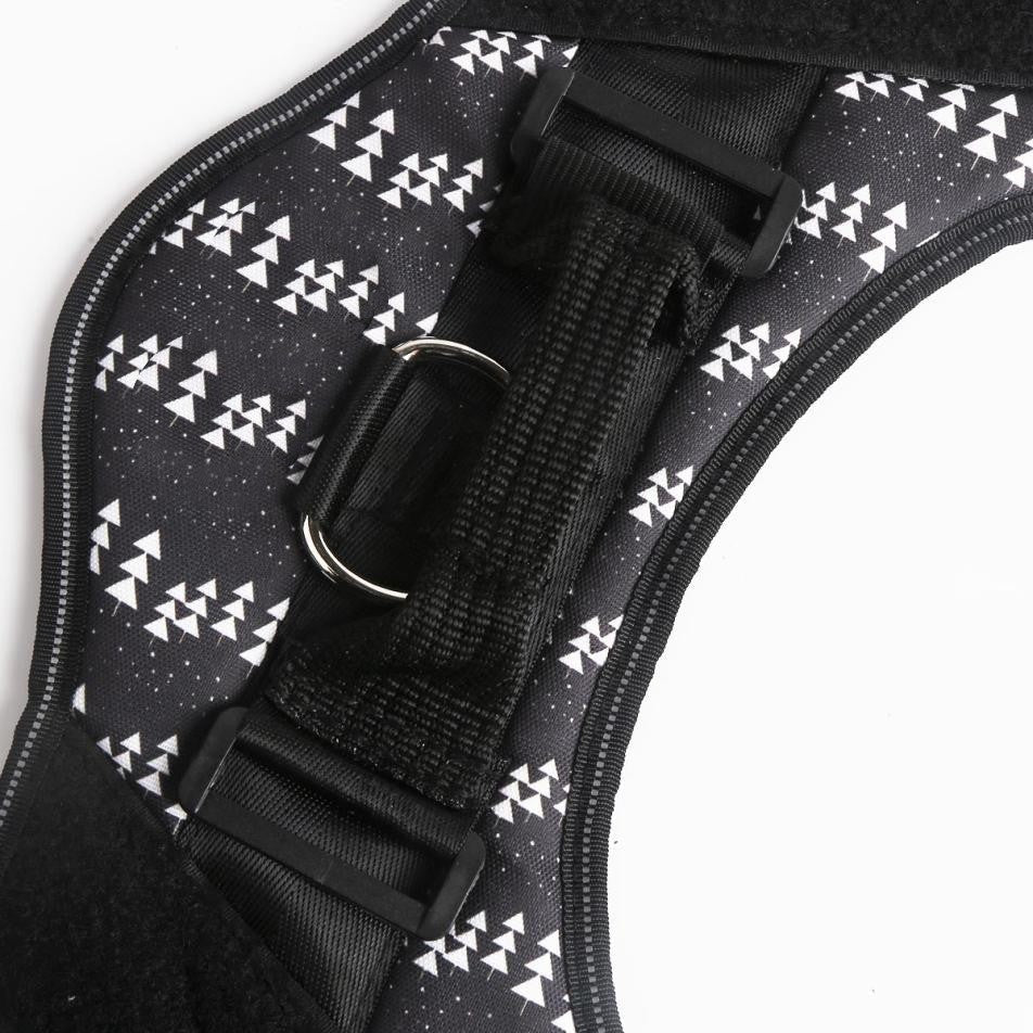 Custom No-Pull Dog Harness with Name & Phone Number — Heavy-Duty Personalized Pet Vest