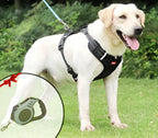 No-Pull Dog Harness – WalkEase