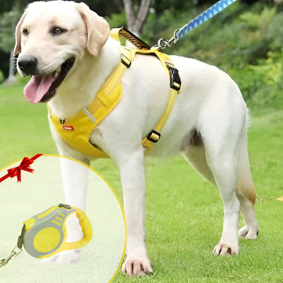 No-Pull Dog Harness – WalkEase