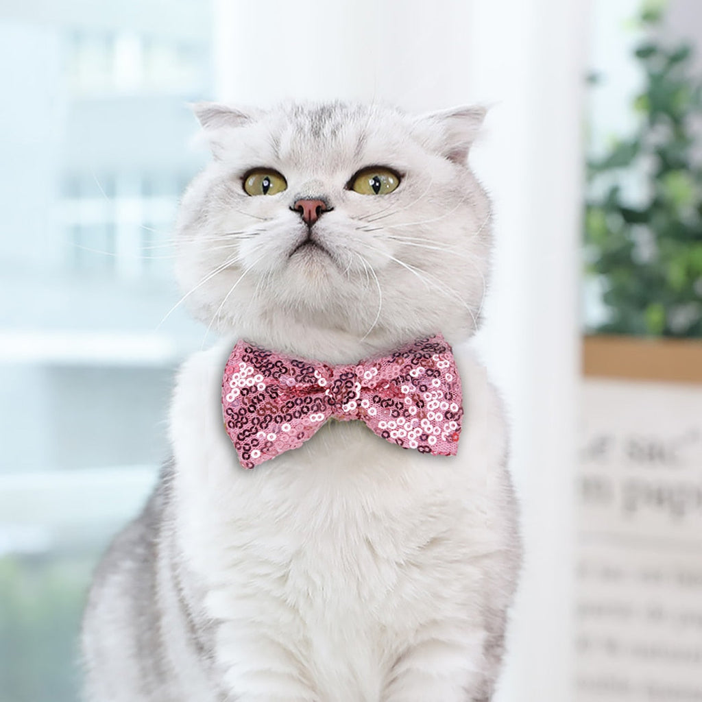 Adorable Sequin Bowtie Cat Collar – Festive & Photo-Ready!