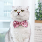 Adorable Sequin Bowtie Cat Collar – Festive & Photo-Ready!