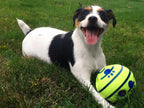 Interactive Dog Play Ball – Bouncing & Sound-Making Toy for Mental Stimulation