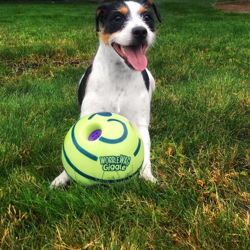 Interactive Dog Play Ball – Bouncing & Sound-Making Toy for Mental Stimulation