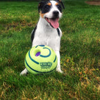 Interactive Dog Play Ball – Bouncing & Sound-Making Toy for Mental Stimulation