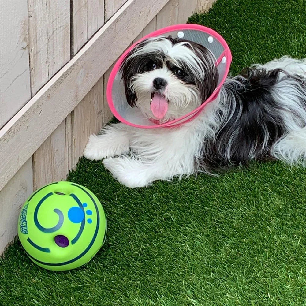 Interactive Dog Play Ball – Bouncing & Sound-Making Toy for Mental Stimulation