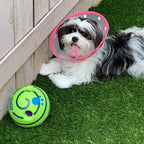 Interactive Dog Play Ball – Bouncing & Sound-Making Toy for Mental Stimulation