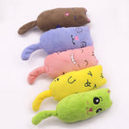 Plush Catnip Toys for Cats – Soft Chew Toys with Organic Catnip