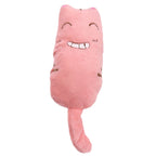 Plush Catnip Toys for Cats – Soft Chew Toys with Organic Catnip