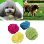 RollFun-O-Matic – Self-Rolling Interactive Dog Toy Ball