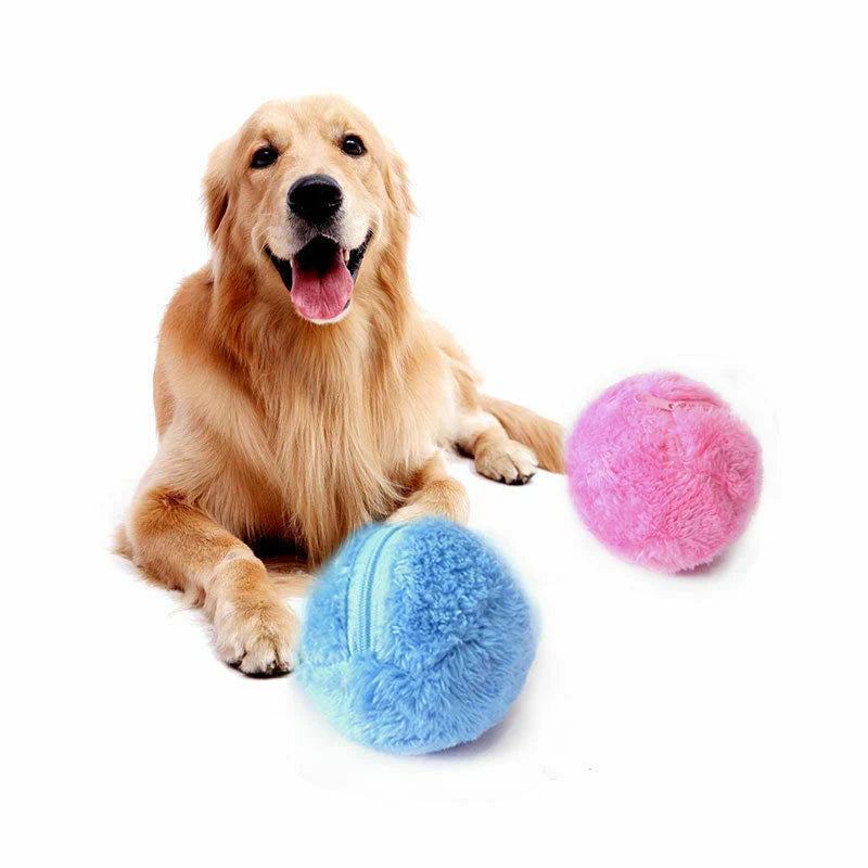 RollFun-O-Matic – Self-Rolling Interactive Dog Toy Ball