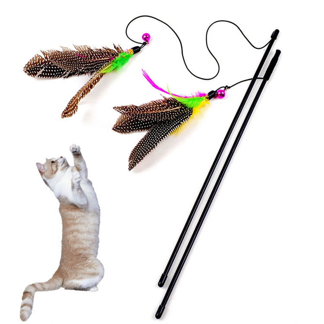 Perfect Cat Toys – Interactive Feather Wands, Mouse Toys & Bouncy Balls for Playful Cats
