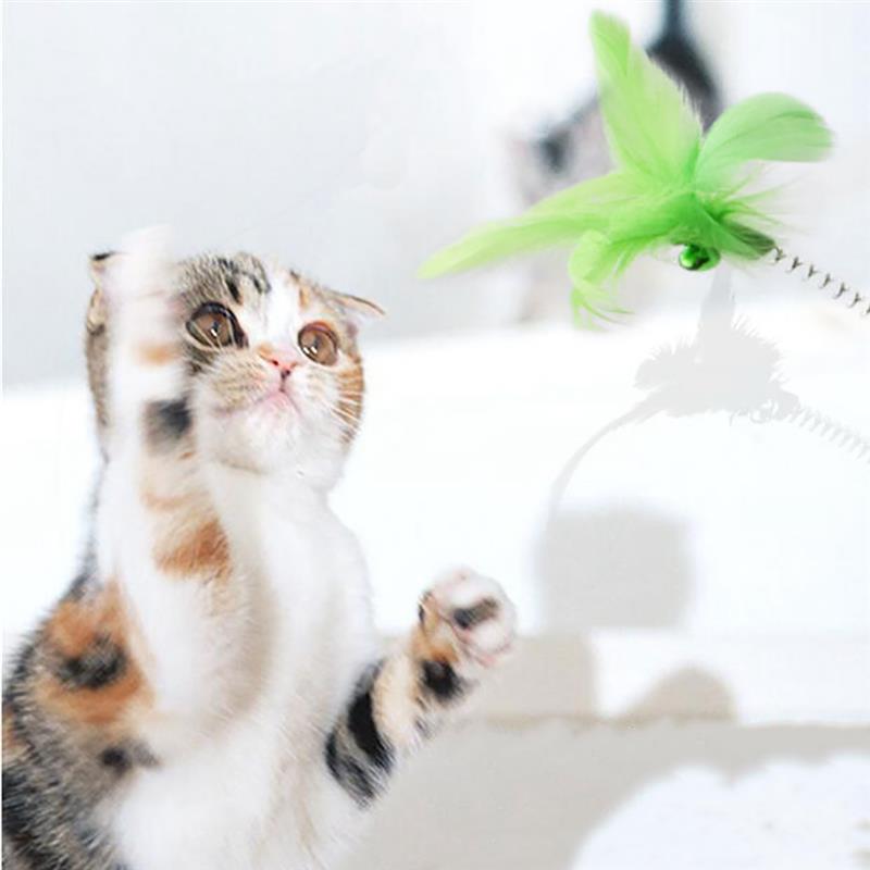 Cat Feather Toy with Bell – Spring-Activated Teaser Toy for Solo Play