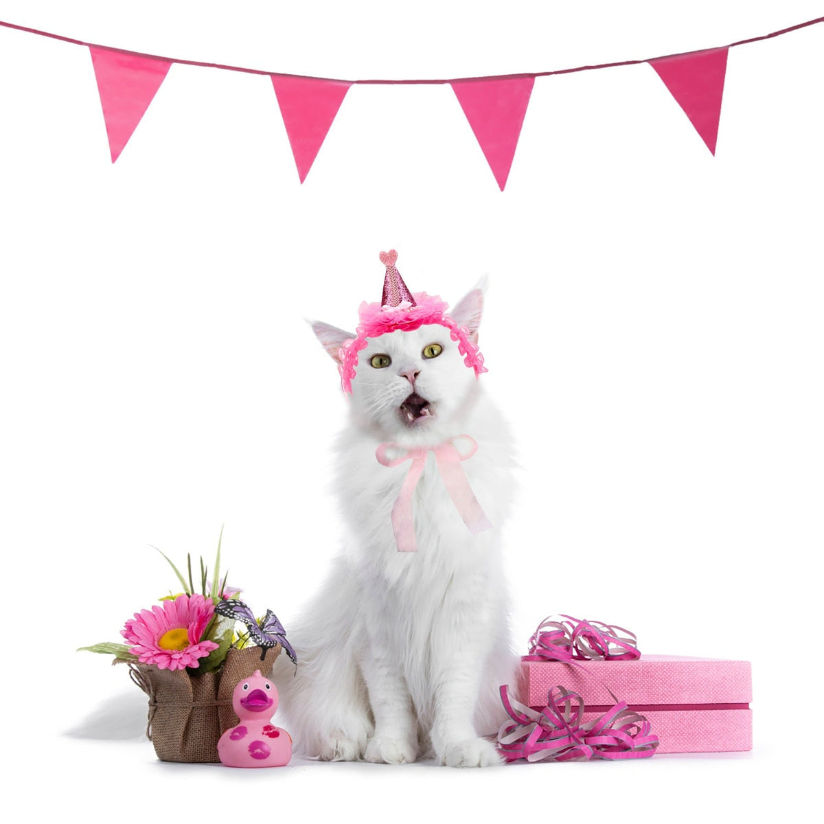 Cat Costume Headband – Soft & Adorable Party Hat for Kitties