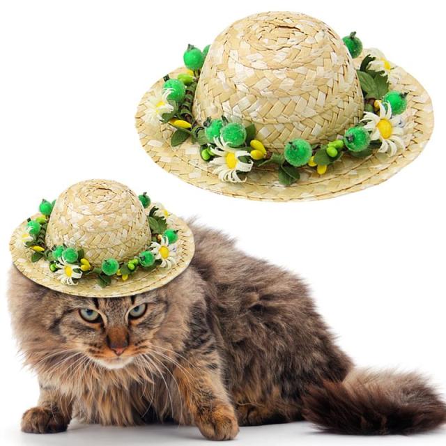 Adorable Cat Straw Hat – Sun-Protective & Adjustable Pet Accessory