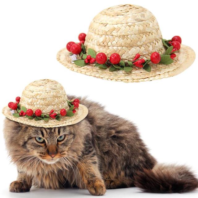 Adorable Cat Straw Hat – Sun-Protective & Adjustable Pet Accessory