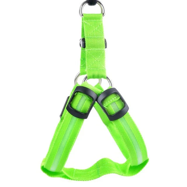 GlowSafe LED Dog Harness – Bright, Comfortable & Weather-Resistant