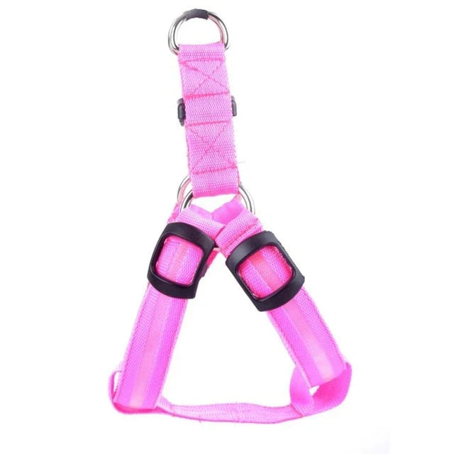 GlowSafe LED Dog Harness – Bright, Comfortable & Weather-Resistant