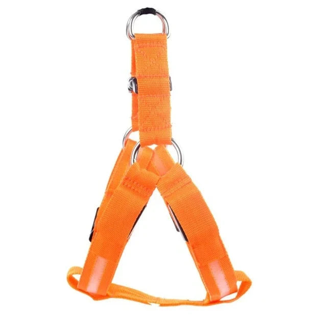 GlowSafe LED Dog Harness – Bright, Comfortable & Weather-Resistant
