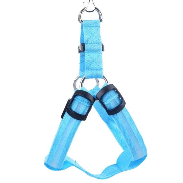 GlowSafe LED Dog Harness – Bright, Comfortable & Weather-Resistant
