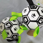Durable Dog Toy Ball with Pull Handles — Chew-Resistant & Interactive