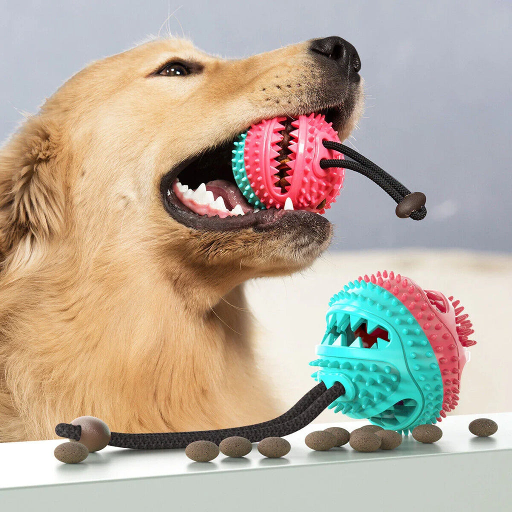 Durable Dog Tug Toy – PowerPaw (Great for Chewers & Playtime!)