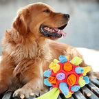 PlayPaw Interactive Pet Toy – Sniff & Play Mental Stimulation Toy for Dogs & Cats
