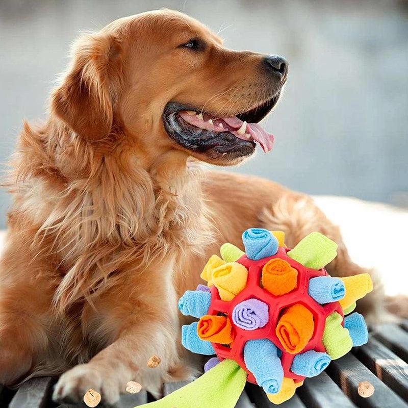 PlayPaw Interactive Pet Toy – Sniff & Play Mental Stimulation Toy for Dogs & Cats