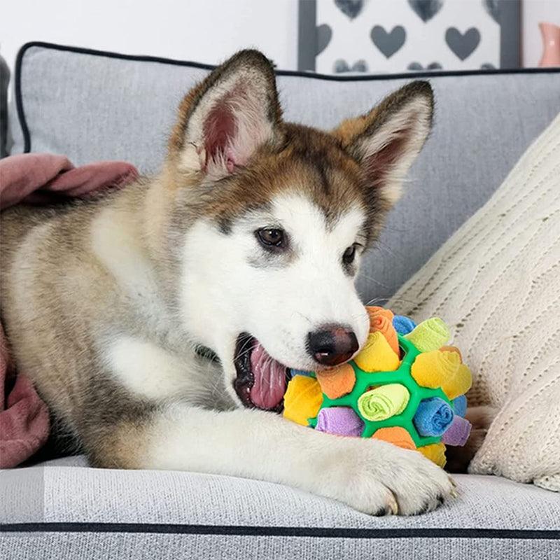 PlayPaw Interactive Pet Toy – Sniff & Play Mental Stimulation Toy for Dogs & Cats