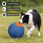 Inflatable Bite-Resistant Herding Ball for Dogs — Interactive Push & Chase Toy for High-Energy Breeds