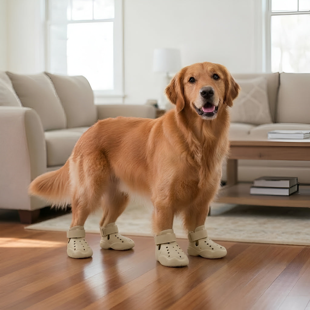 Pack of 4 Adjustable Dog Shoes — Lightweight Clog-Style Paw Protection for Walks & Outdoor Adventures