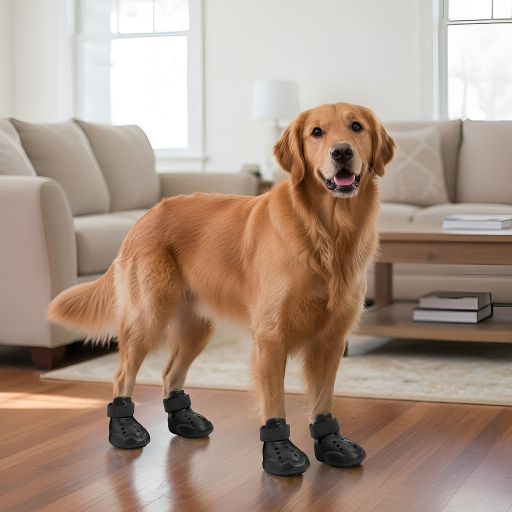 Pack of 4 Adjustable Dog Shoes — Lightweight Clog-Style Paw Protection for Walks & Outdoor Adventures