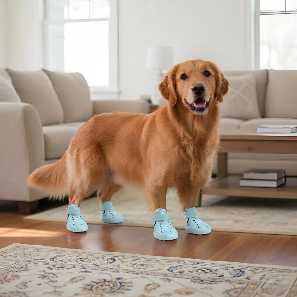 Pack of 4 Adjustable Dog Shoes — Lightweight Clog-Style Paw Protection for Walks & Outdoor Adventures