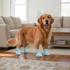 Pack of 4 Adjustable Dog Shoes — Lightweight Clog-Style Paw Protection for Walks & Outdoor Adventures