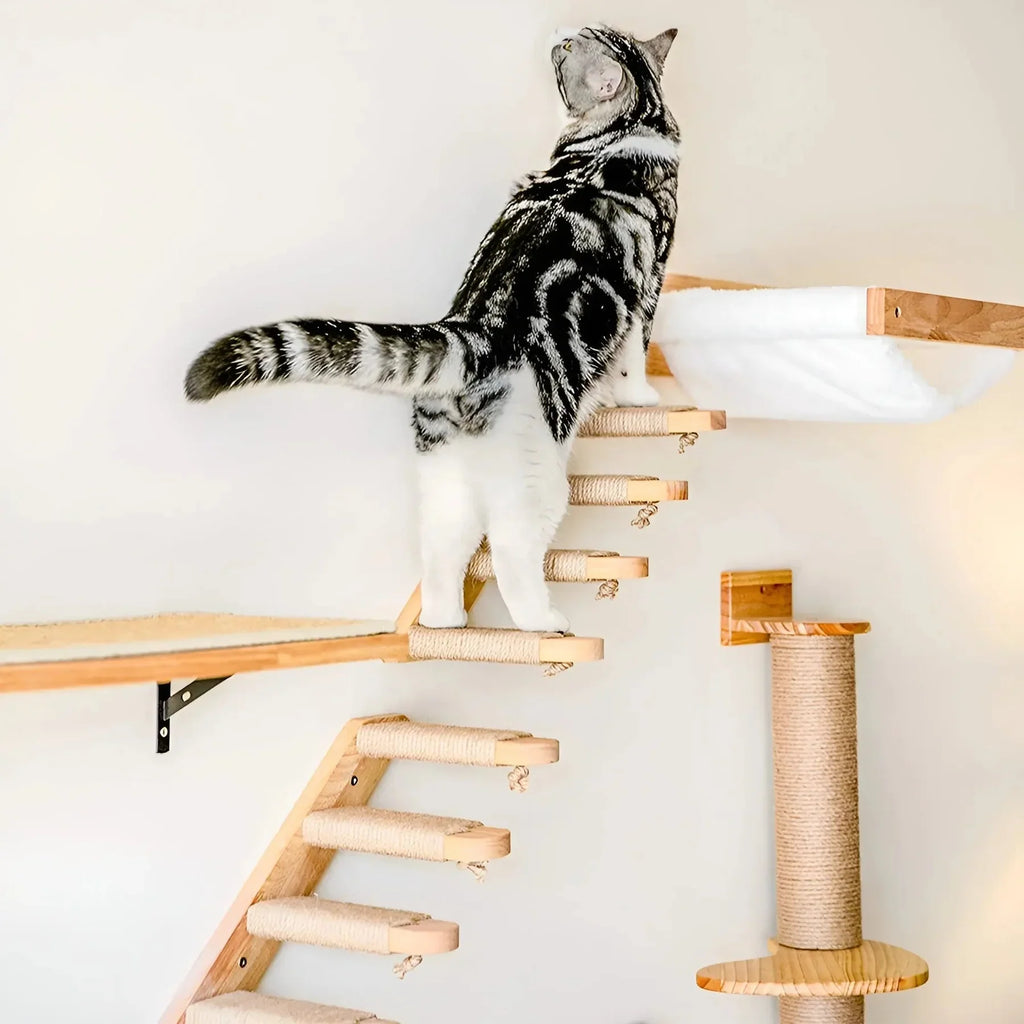 KletterBuddy – Wall-Mounted Cat Shelf with Scratching Post for Active Indoor Cats