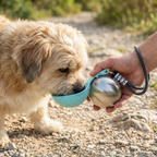 2-in-1 Dog Travel Water Bottle – Leakproof Stainless Steel Bottle with Collapsible Silicone Bowl
