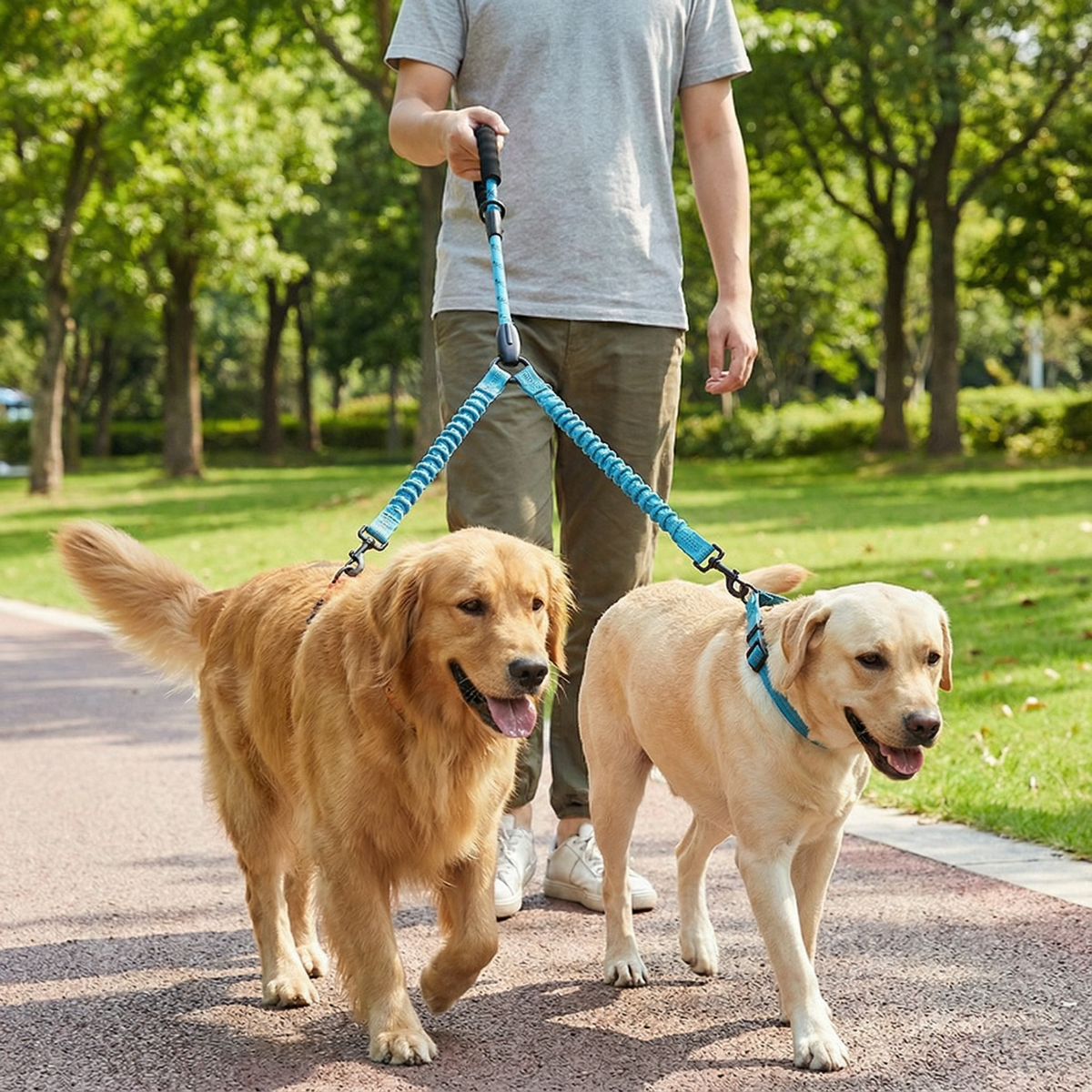 2-in-1 Double Dog Leash with 360° Swivel — Tangle-Free & Shock-Absorbing
