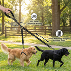 2-in-1 Double Dog Leash with 360° Swivel — Tangle-Free & Shock-Absorbing