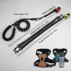 2-in-1 Double Dog Leash with 360° Swivel — Tangle-Free & Shock-Absorbing