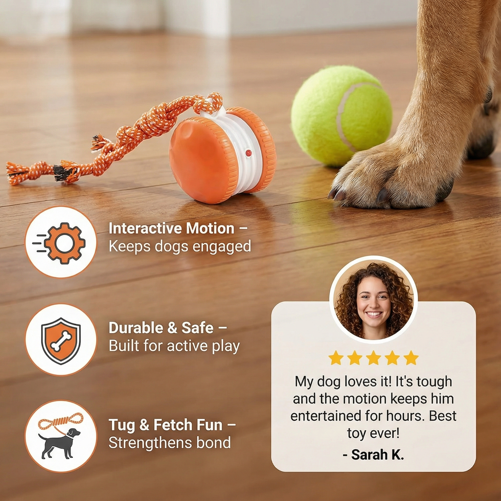 Interactive & Durable Dog Ball – Motion-Activated Toy with Tug Rope in Bold Dog Colors