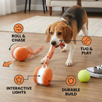 Interactive & Durable Dog Ball – Motion-Activated Toy with Tug Rope in Bold Dog Colors