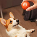 Interactive Jumping Ball for Dogs – Self-Rolling, Unpredictable Play Toy
